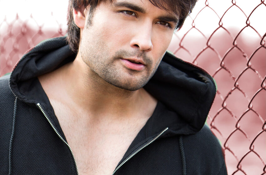  Vivian Dsena in Big Boss 18